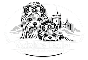 Yorkshire Terrier Von der Hoehenburg Stargard